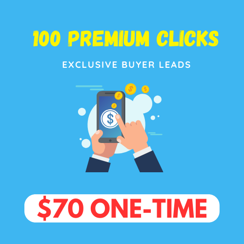 100 FRESH PREMIUM CLICKS - Click Image to Close